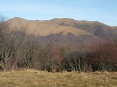 15 Triangolo Lariano